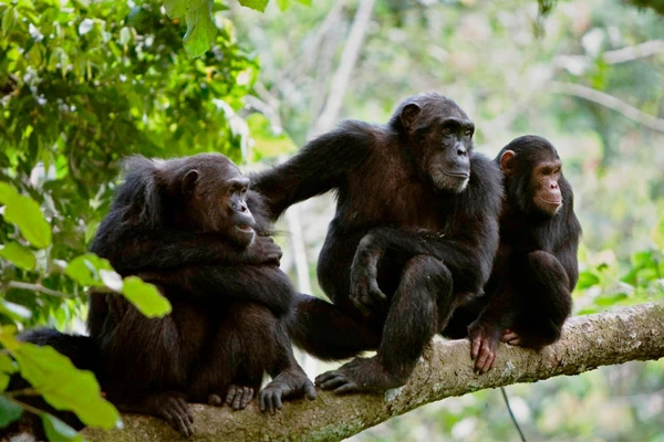 L’activité outdoor à tester en Tanzanie