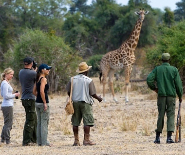 Le safari à pied