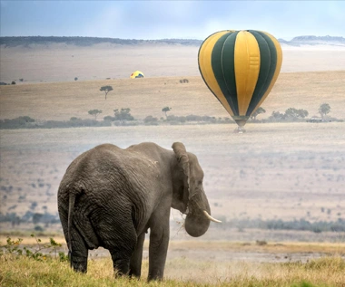 Le safari en ballon